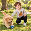Young boy wearing a beige dinosaur sweatshirt and black joggers 